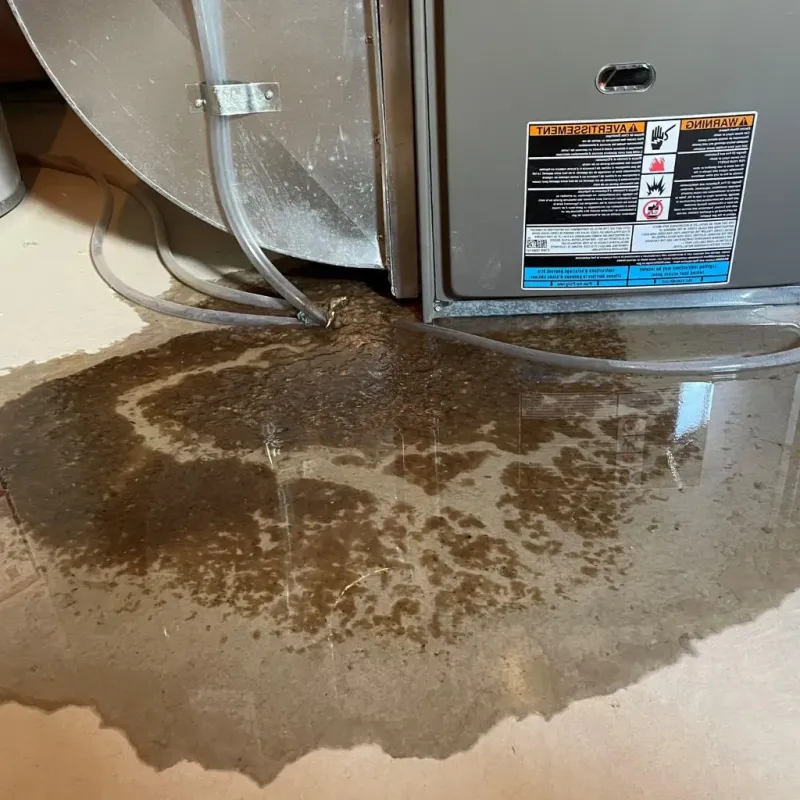 Pipe Burst and Leak Restoration in Centerville, IN