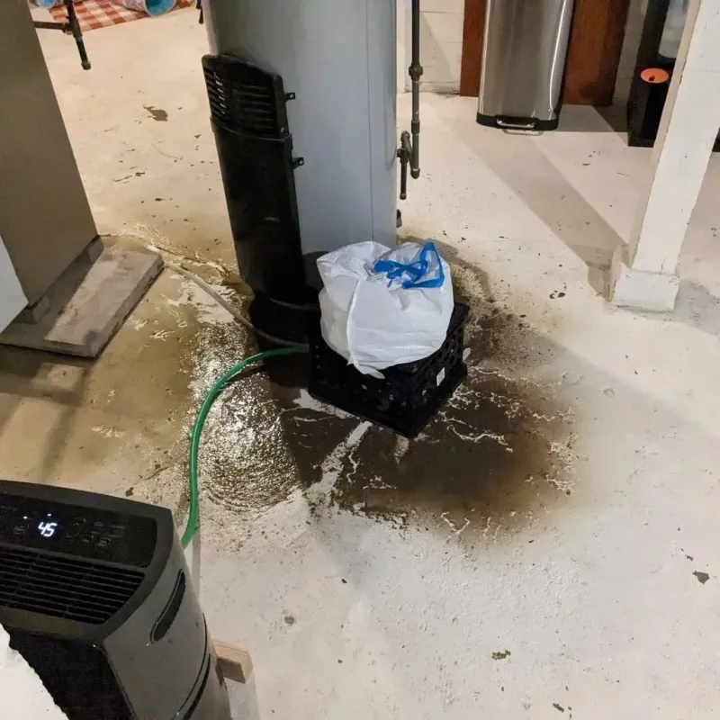 Sewage Backup Cleanup Service in Centerville, IN